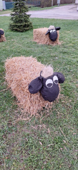 Beránkování (2).jpg