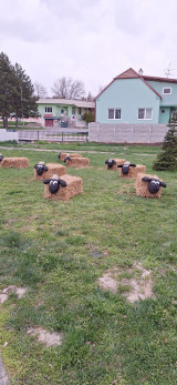 Beránkování (3).jpg